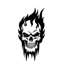 Obraz premium skull on a white background