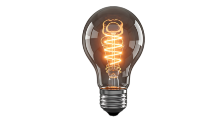 Vintage edison style elongated oval glass bulb with glowing filament isolated on transparent background