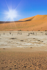 Namibia, the Dead Valley in the Namib desert, red dunes in background
