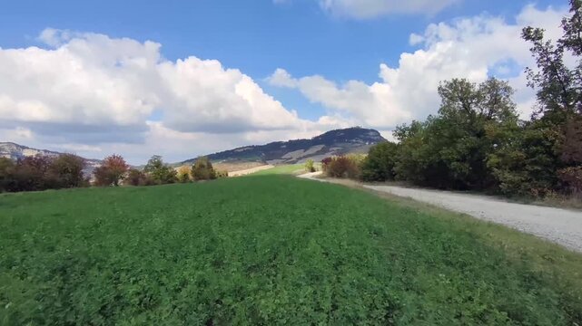 drone flies over a green field