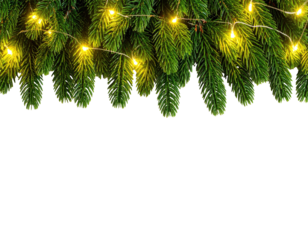 Festive evergreen boughs illuminated by strings of golden, twinkling lights, on a black backdrop