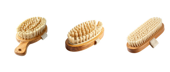 Wooden body brushes isolated on transparent background