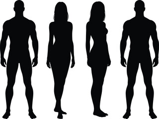 Male and female silhouette illustration, body shape comparison, standing pose lineup, fashion reference, anatomy outline, cad drawing flat vector illustration