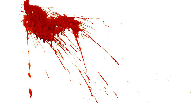 Photograph capturing a dramatic blood splash on a clean white background. The red liquid forms organic droplets and abstract shapes. Adeal for horror, medical, or artistic use. - Powered by Adobe