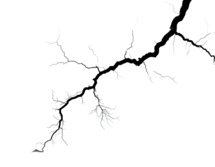 A monochromatic representation of an organic branched structure against a black background