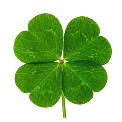 A close-up of a vibrant, four-leaf clover isolated against a dark background, full of detail
