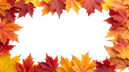 Autumn maple foliage frame cut out on PNG. Fall leaf border. AI GENERATED.