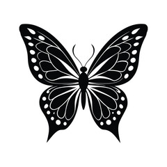 butterfly vector illustration