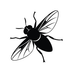 vector illustration of a wasp. Silhouette of a fly in flight with transparent wings vector image