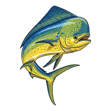 mahi mahi fish jumping in a dynamic pose