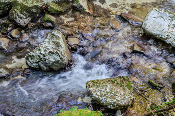 Over millions of years, the Orfento River (in the municipality of Caramanico Terme) has carved out a narrow gorge now covered by dense riparian vegetation featuring willows, ferns, and mosses.