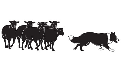 Herding Dog Guiding a Flock of Sheep in Silhouette