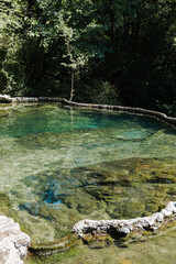 Natural pools with clear blue water surrounded by lush green forest. Rocks and fallen logs are visible in the water, creating a serene and tranquil environment.