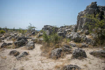 Large boulders on the sand surrounded by bushes