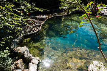 Natural pools with clear blue water surrounded by lush green forest. Rocks and fallen logs are...
