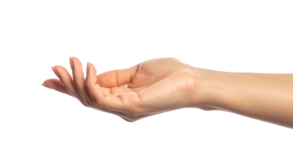 Isolated human hand with fair skin, palm up and fingers slightly curved, in a gesture