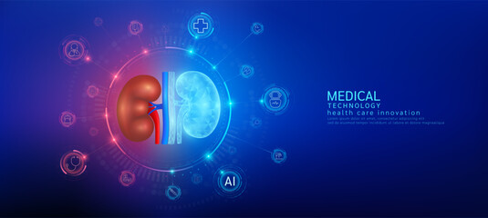 Kidney realistic shape model with translucent polygon connection to the medical network icons. Innovation in digital smart science health care technology. Banner vector.