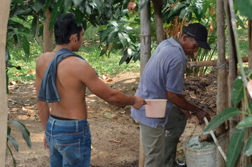 Inside the cattle shed, a father fills a storage bucket with water while his son gives him a plastic dipper for bathing the livestock.
