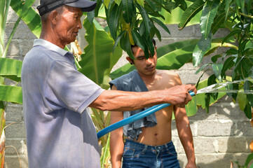 With careful attention, a father waters a mango tree in the field as his son stands nearby, observing the process in silence.