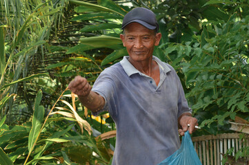 A farmer father tosses handfuls of fish feed into the pond in his farmland during the afternoon, captured in close up near plants and village field.