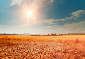 Draught in nature. A dried field in the countryside during a hot summer. Global warming and climate change.