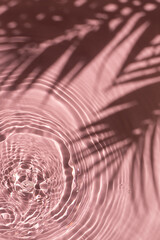 Pink water texture background on the noon sunlight with tropical leaves shadow.