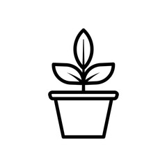 Sustainable Lifestyle Indoor Plant