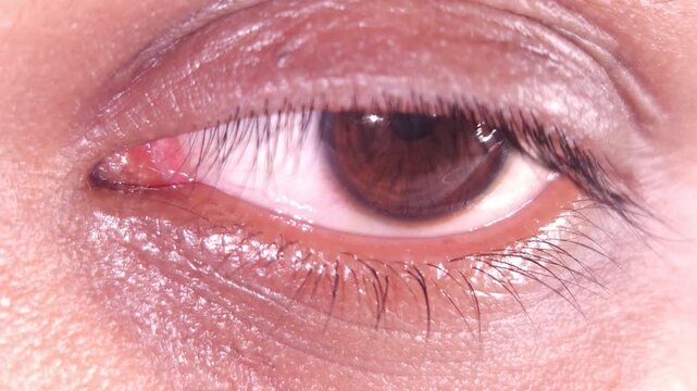 Realistic close-up video of a human eye moving naturally, emphasizing the miracle of sight and sensitivity of human senses through high-definition macro photography.