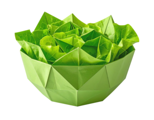 Crisp salad bowl origami paper green leaf texture folded geometric modern minimal fresh clean healthy aesthetic