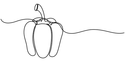 capsicum continuous one line drawing,  isolated on white background, outline illustration. 