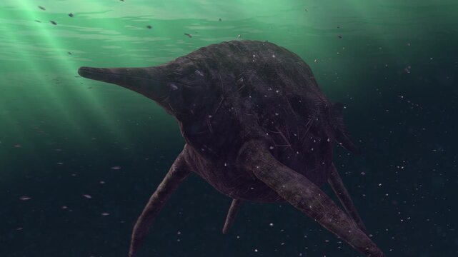 shonisaurus in the jurassic ocean