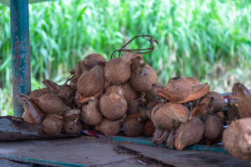 Raw coconuts and tropical citrus fruits at a Fijian roadside market — perfect for culinary, organic food, travel, and sustainability concepts.