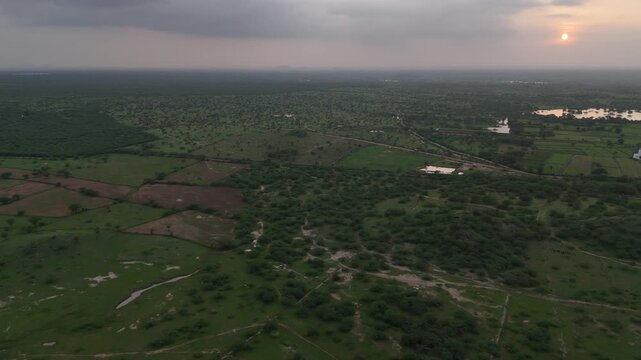 Aerial view of Padanga village, Ajmer, Rajasthan during monsoon sunset, showing lush green fields, ponds in the distance, cloudy sky, and native trees like Neem, Khejri, Babool, and Rohida