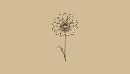 Minimalistic line art illustration of a sunflower with a single leaf on a soft beige background copy space