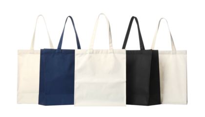 Five canvas tote bags of different color schemes, white and solid color panels