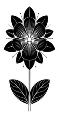 black and white flower