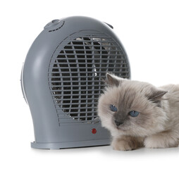 Adorable cat near electric fan heater against white background