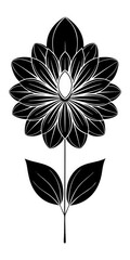 black and white flower