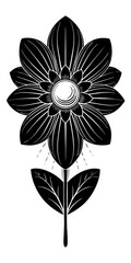 black and white flower