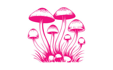 Group of pink mushrooms growing in grass isolated on white background