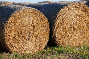 Close-up of two straw bales in agricultural field