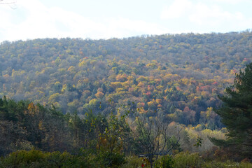 Naklejka premium Distant wooded mountain in autumn, blue sky, panoramic view 