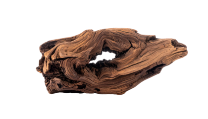 Highly textured, detailed piece of wood with knots and a dark interior. Isolated on black