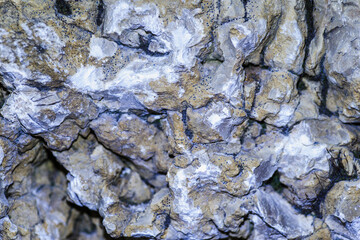 tło ze starej chropowatej kory drzewa