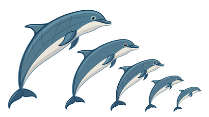 Naklejka premium Dolphin family vector illustration showing size progression isolated o