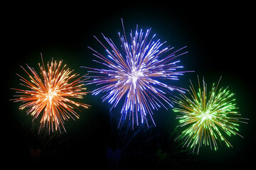 Obraz premium Colorful Fireworks Exploding in the Night Sky