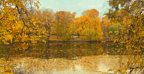 Beautiful autumn landscape, trees with yellow leaves and lake, nature background