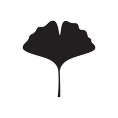 Ginkgo leaf icon silhouette vector flat illustration design on white background