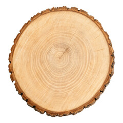 Top view wooden log slice with bark edge, cutout PNG transparent background