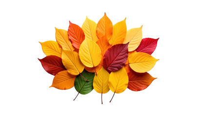 Vibrant autumn leaves in a warm spectrum of colors on a clean white background